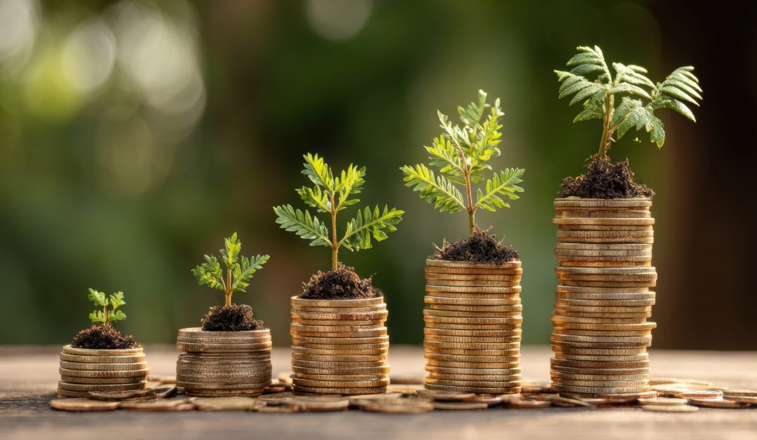 Value-Creation-Plan 100 Tage: Hebel & Sequenz